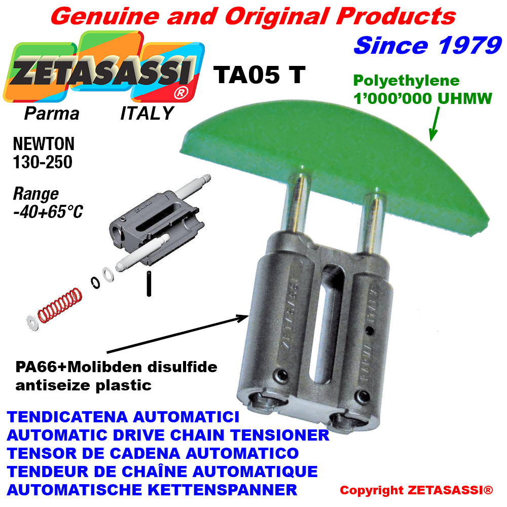 Linear automatische kettenspanner ta05 rundkopf gewölbt newton130:250 ZETASASSI ta05t38s Linear automatische kettenspanner ta05 rundkopf gewölbt newton130:250 ZETASASSI ta05tasa40t