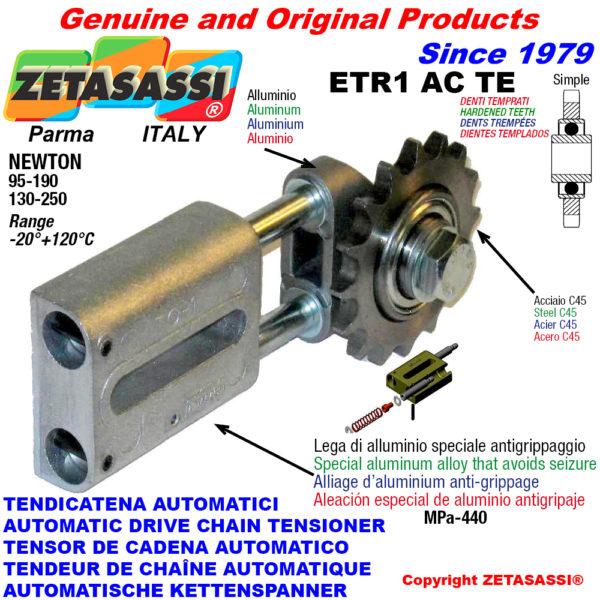 Automatische linear kettenspanner etr1 ac te mit verhärtetem kettenräder - kettenradsätze acte newton130:250-95:190 ZETASASSI etr1ac34s190te