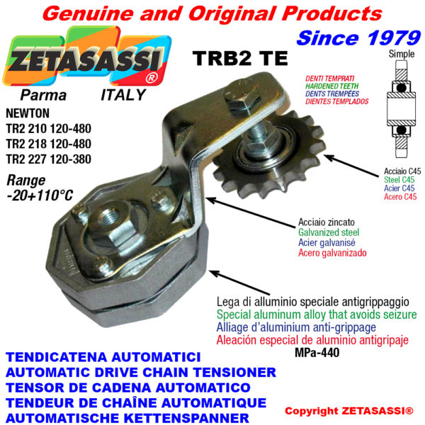 Automatische spannarm für kette trb2 mit verhärteter keilriemenscheibe acte newton120:480-120:380 ZETASASSI trb2227ac1ste